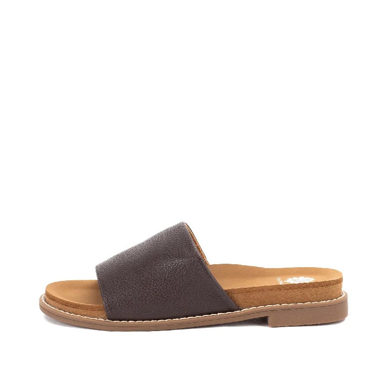 Dk Brown